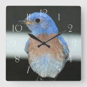 ウエスタンブルーバード スクエア壁時計 (正面)