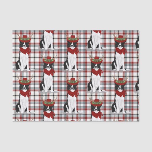 ウエスタンプレイドとクリスマス縁どコリー恋人 薄葉紙 (正面)