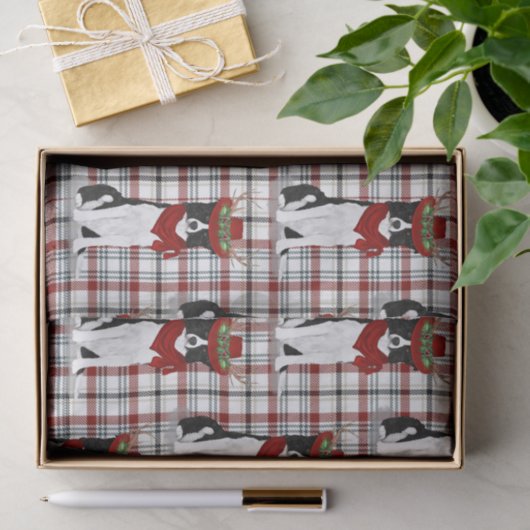 ウエスタンプレイドとクリスマス縁どコリー恋人 薄葉紙 (ギフト)