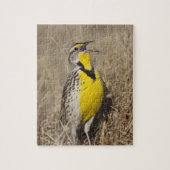 ウエスタンメドウラルク(シュトルネラ未亡児) ジグソーパズル (縦)