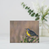 ウエスタンメドウラルク ポストカード (スタンド正面)