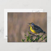 ウエスタンメドウラルク ポストカード (正面/裏面)