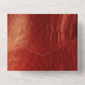 ウエスタンレッドコウィド オールインワン招待状 (裏面)