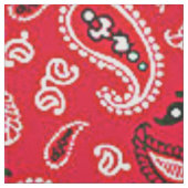 ウエスタンレッドペイズリー ファブリック (見本)