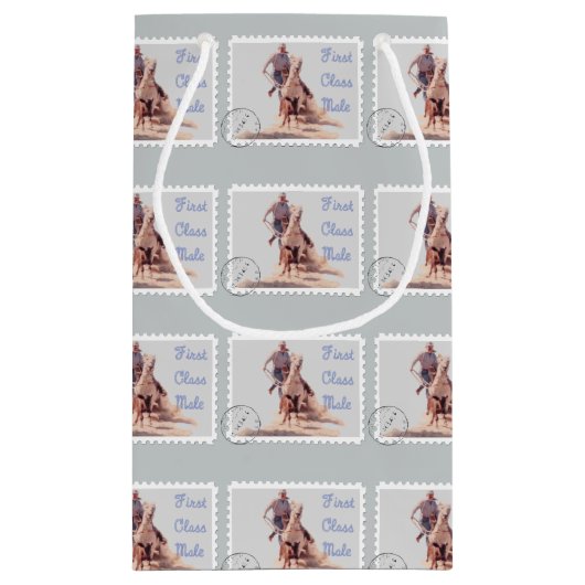 ウエスタンロデオカウボーイ抱き枕カーフローパー スモールペーパーバッグ (裏面)