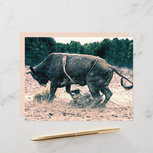 ウエスタンロデオブラックブルカントリーカウボーイ素朴 (正面/裏面インサイチュ)