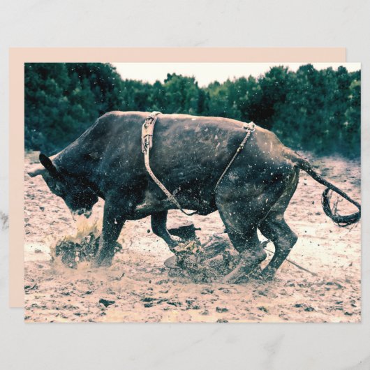 ウエスタンロデオブラックブルカントリーカウボーイ素朴 (正面/裏面)