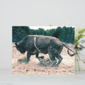 ウエスタンロデオブラックブルカントリーカウボーイ素朴 (スタンド正面)