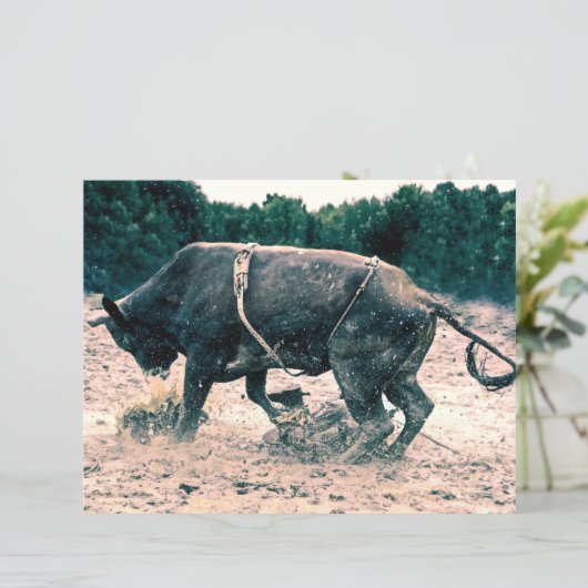 ウエスタンロデオブラックブルカントリーカウボーイ素朴 (スタンド正面)