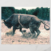 ウエスタンロデオブラックブルカントリーカウボーイ素朴 (正面)