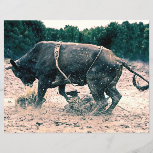 ウエスタンロデオブラックブルカントリーカウボーイ素朴 (正面)