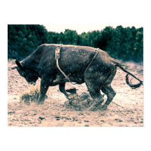 ウエスタンロデオブラックブルカントリーカウボーイ素朴