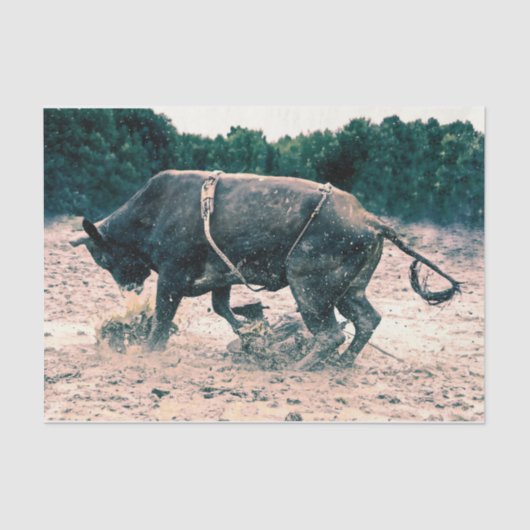 ウエスタンロデオブラックブルカントリーカウボーイ素朴 薄葉紙 (正面)