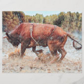 ウエスタンロデオブルカントリーカウボーイ素朴ヴィンテージ (正面)