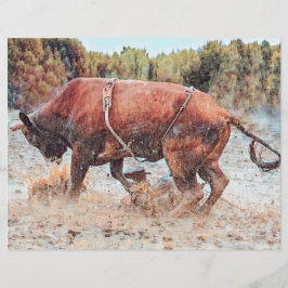 ウエスタンロデオブルカントリーカウボーイ素朴ヴィンテージ