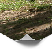 ウエスタンローランドゴリラ ポスター (角)