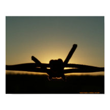 ウエスタンワイヤワスプ