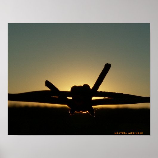 ウエスタンワイヤワスプ ポスター (正面)