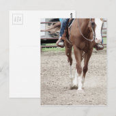 ウエスタン・ペイント・ホース ポストカード (正面/裏面)