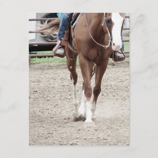 ウエスタン・ペイント・ホース ポストカード (正面)
