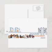 ウエストハイランド・ホワイトテリアのPUPsロゴグッズ ポストカード (正面/裏面)