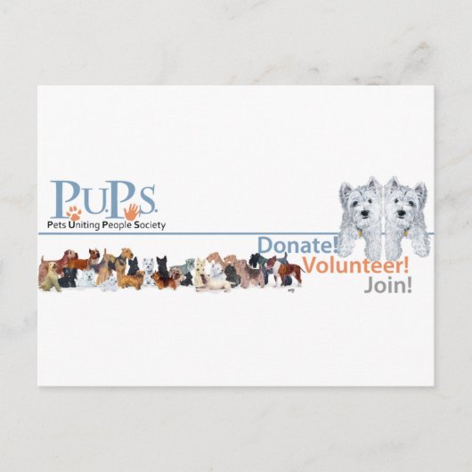 ウエストハイランド・ホワイトテリアのPUPsロゴグッズ ポストカード (正面)