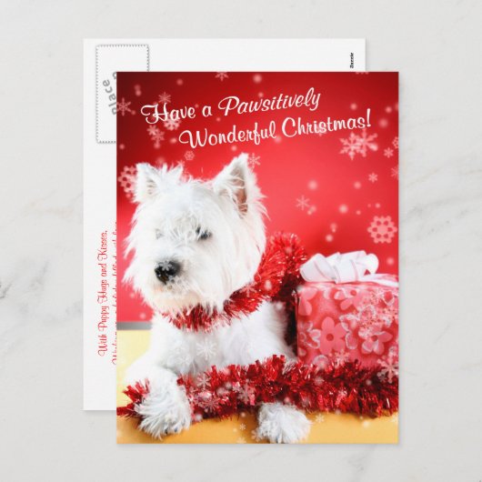 ウエスト・ハイランド・ホワイト・テリアのクリスマスの願い シーズンポストカード (正面/裏面)