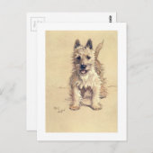 ウエスト・ハイランド・ホワイト・テリア ポストカード (正面/裏面)