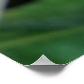 ウエットリーフ ポスター (角)