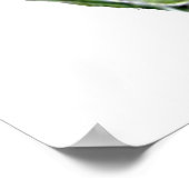 ウォッカライムポスタープリント ポスター (角)