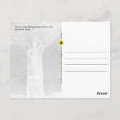 ウォッシャーウーマンのポルティコ，バルセロナ，スペイン –  ポストカード (裏面)