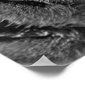 ウォッシュデイキャットポスタープリント ポスター (角)