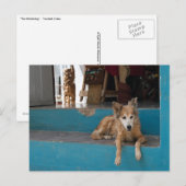 ウォッチドッグ。 ポストカード (正面/裏面)