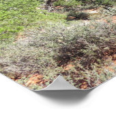 ウォッチマンジオン国立公園 ポスター (角)