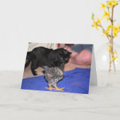 ウォッチャー カード (黄色い花)