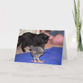 ウォッチャー カード