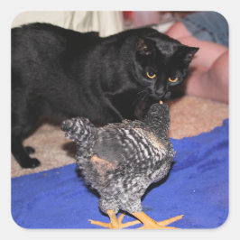 ウォッチャー スクエアシール