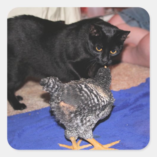 ウォッチャー スクエアシール (正面)