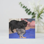 ウォッチャー ポストカード (スタンド正面)