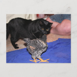 ウォッチャー ポストカード