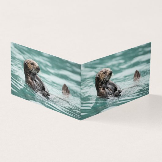 ウォッチングシーオッター (外部)