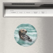 ウォッチングシーオッター マグネット (インサイチュ (食洗機))