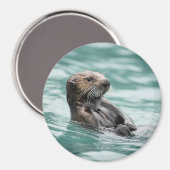 ウォッチングシーオッター マグネット (正面/裏面)