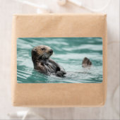 ウォッチングシーオッター ラベル (インサイチュ)