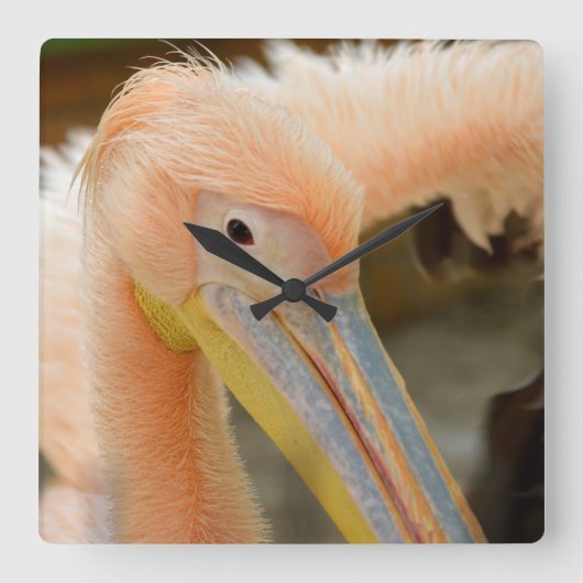 ウォッチングユーペリカンウォールクロック スクエア壁時計 (正面)