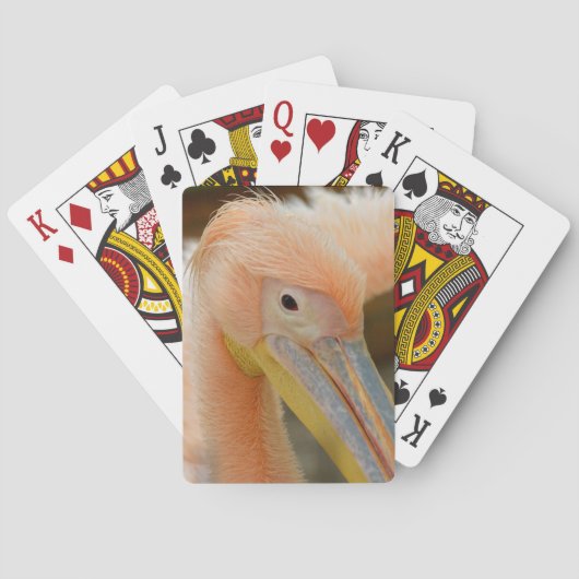 ウォッチングユーペリカントランプデッキ トランプ (裏面)