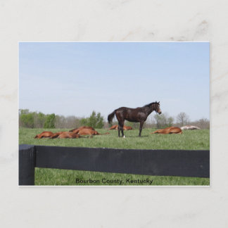 ウォッチ任務 ポストカード