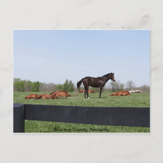 ウォッチ任務 ポストカード (正面)