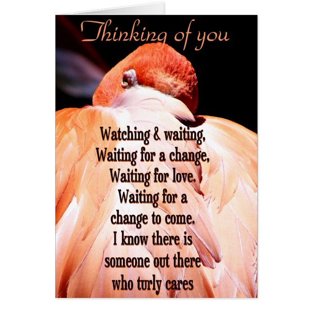 ウォッチ&待機_ (正面)