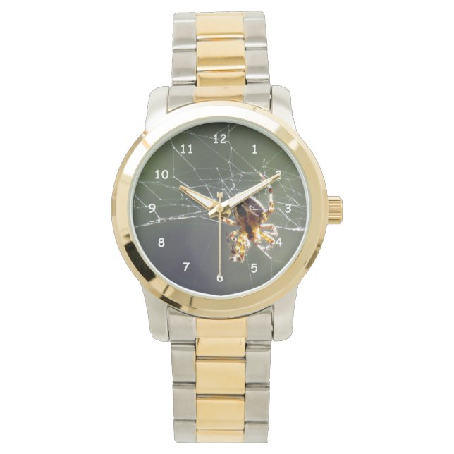 ウォッチ – Spider onくもの巣 (正面)